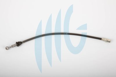 Тормозной шланг RICAMBIFLEX GM 02070004 для DAEWOO LEGANZA