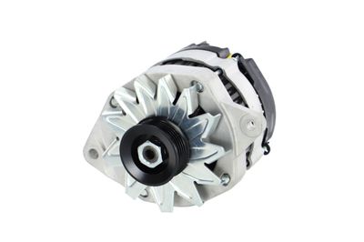 GENERATOR / ALTERNATOR REMANTE 011003000081R 65