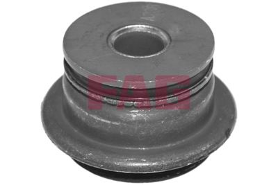 Schaeffler FAG Lagerung, Achskörper