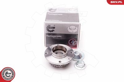 Wheel Bearing Kit 29SKV025