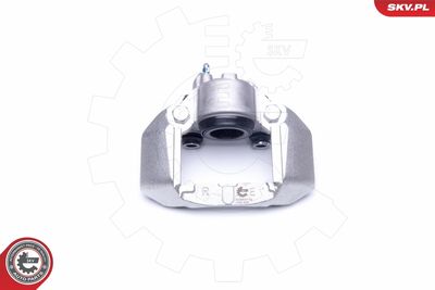 Brake Caliper 42SKV112