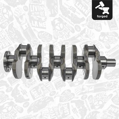 ARBORE COTIT ET ENGINETEAM HK0165 5
