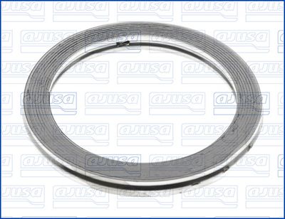 Seal Ring, exhaust pipe 19001800