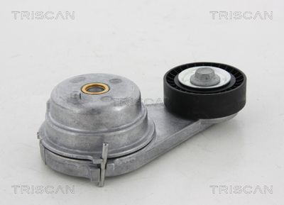 Натяжитель ремня, клиновой зубча TRISCAN 8641 231023 для SMART FORTWO