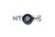 Rullo tenditore, Cinghia dentata SNR GT355.37