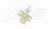 Lampadina, Faro principale AP XENERGY XE1645