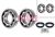 Kit cuscinetto ruota FAG 713 6220 10
