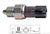 Interruttore, Luce di retromarcia EPS 1.860.232