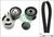Kit Cinghie Poly-V INA 529 0012 10