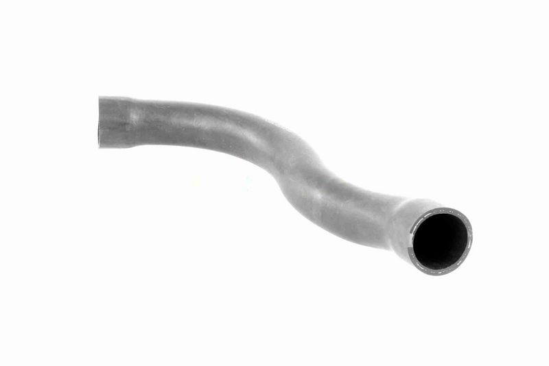 VAICO V20-1750 Radiator Hose