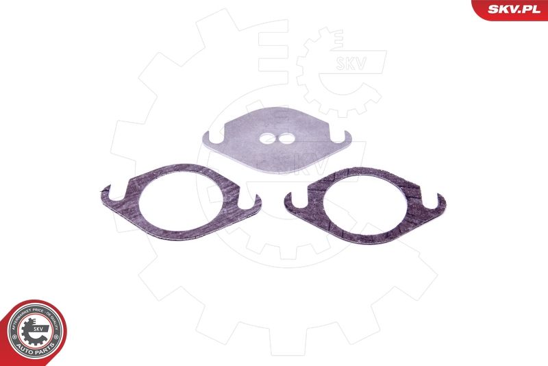 ESEN SKV 14SKV503 Repair Set, EGR valve