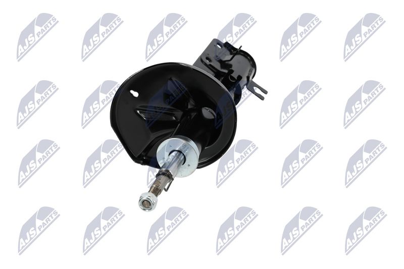 Amort, NTY A-CH-053