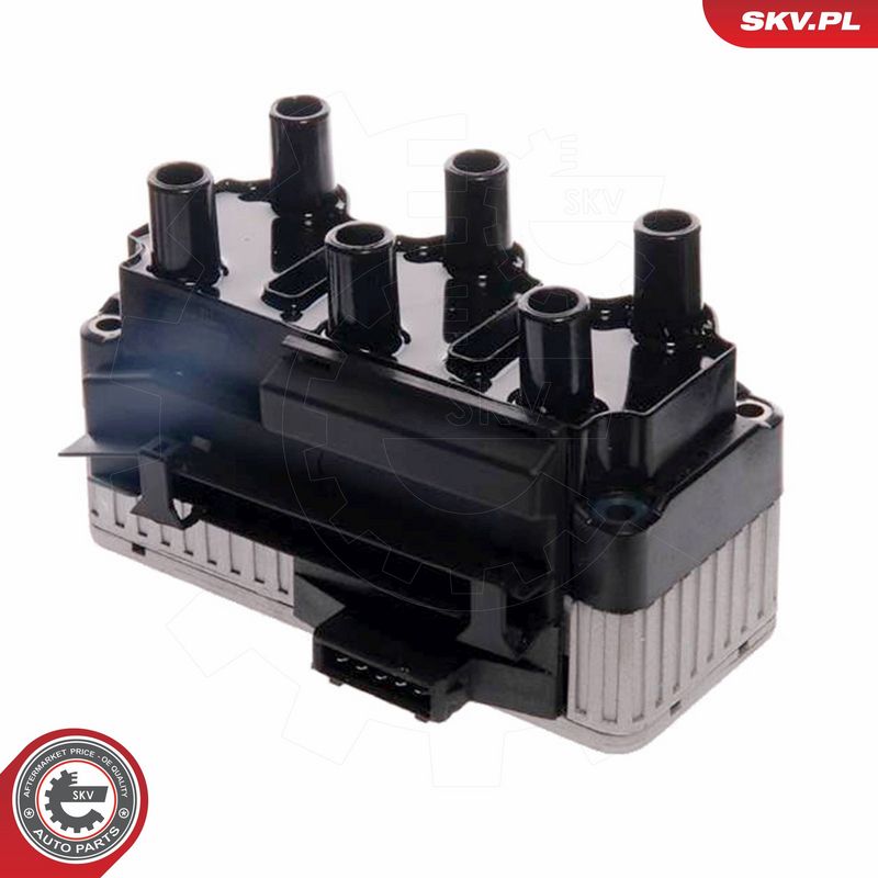ESEN SKV 03SKV049 Ignition Coil