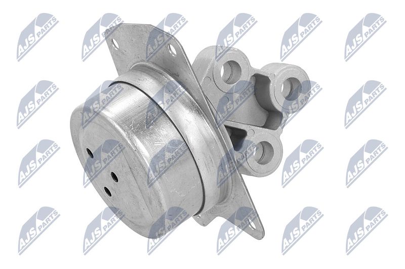 Paigutus, Mootor, NTY ZPS-PL-025