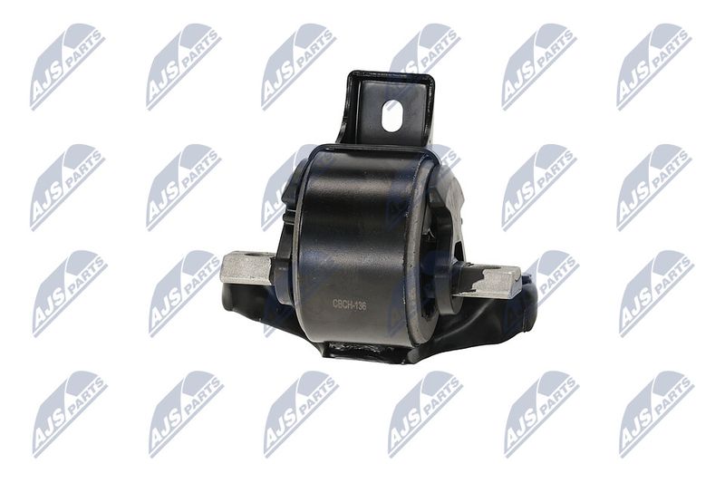 Paigutus, Mootor, NTY ZPS-CH-136