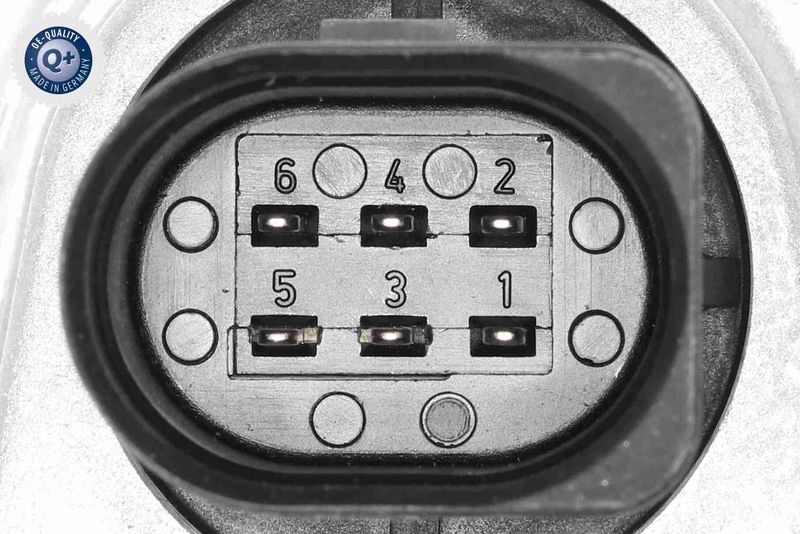 V10-81-0044_03.JPG