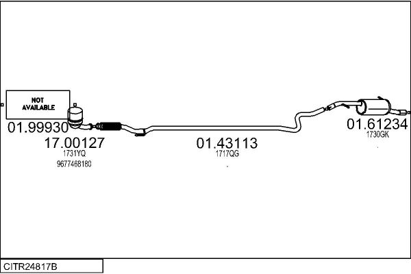 CITR24817B.JPG