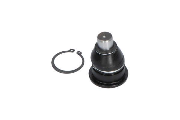 Kavo Parts SBJ-10011 Šarnyras
