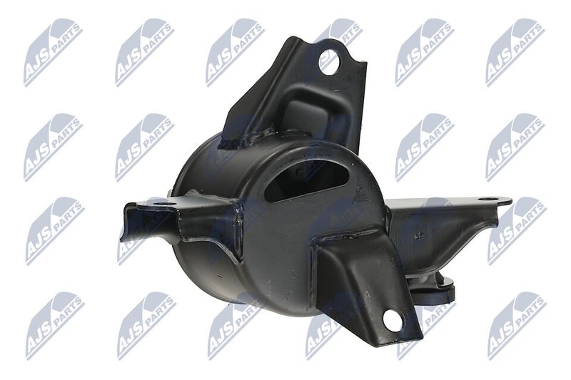 Paigutus, Mootor, NTY ZPS-KA-335