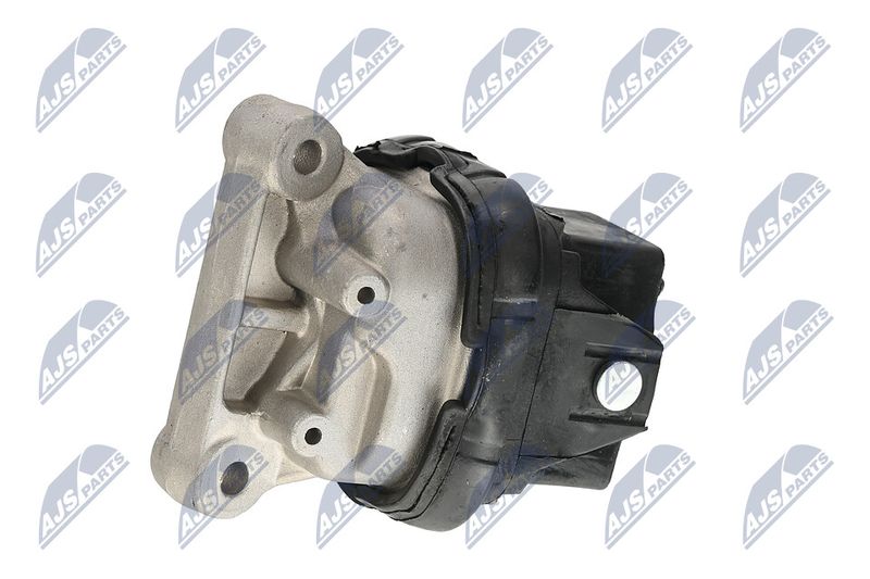 Paigutus, Mootor, NTY ZPS-CH-019