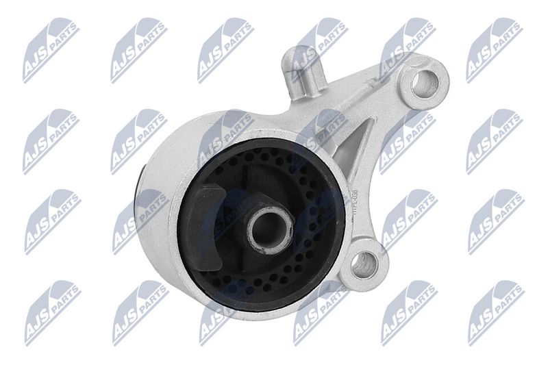 Paigutus, Mootor, NTY ZPS-PL-036