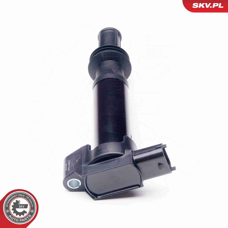 ESEN SKV 03SKV268 Ignition Coil