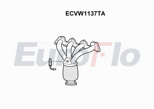 ecvw1137ta.JPG