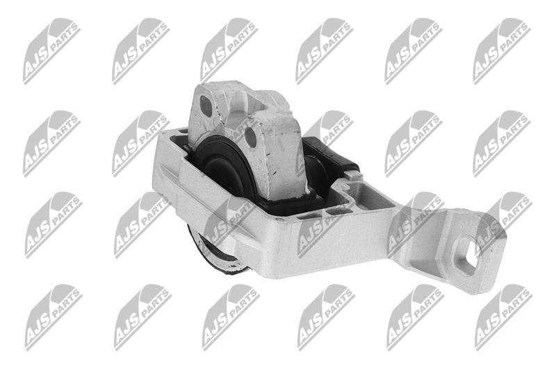 Paigutus, Mootor, NTY ZPS-FR-045