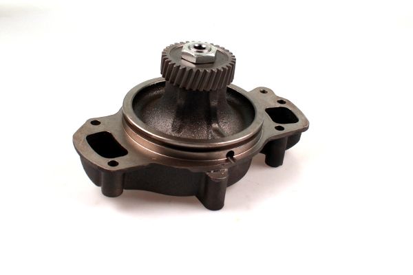 P9907.JPG
