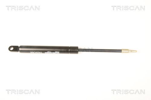 TRIS87109002.JPG