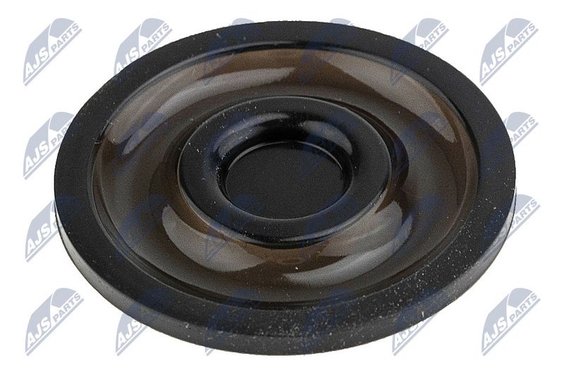 Klapikaas, NTY BPZ-RE-005