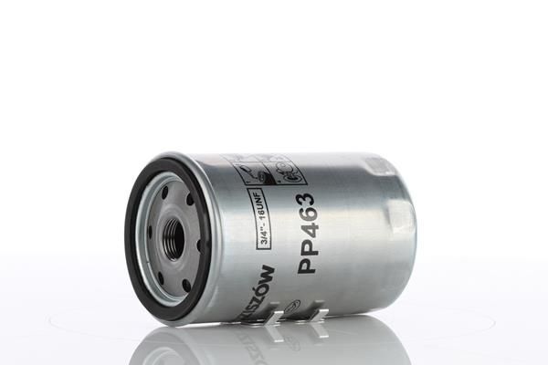 PP463.JPG