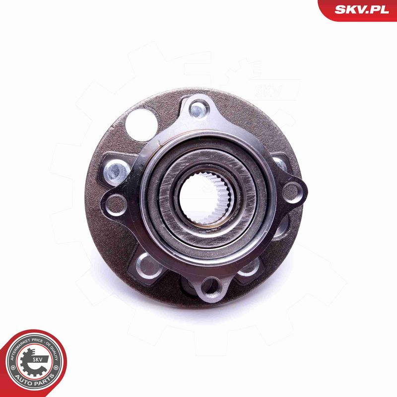 ESEN SKV 29SKV421 Wheel Bearing Kit