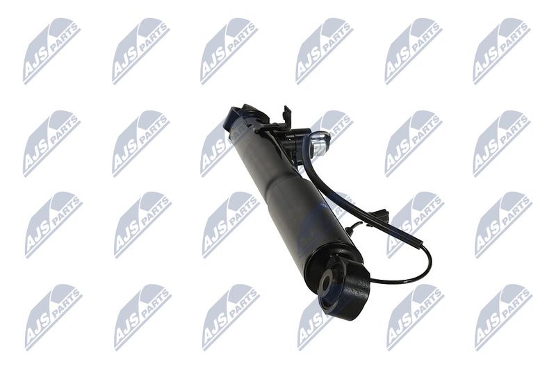 Amort, NTY A-TY-095