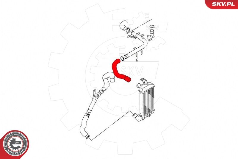 ESEN SKV 43SKV294 Charge Air Hose