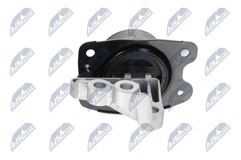 Paigutus, Mootor, NTY ZPS-CH-147