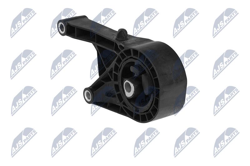 Paigutus, Mootor, NTY ZPS-PL-047