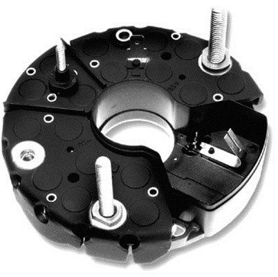 DDF_AMP1543_WR.JPG