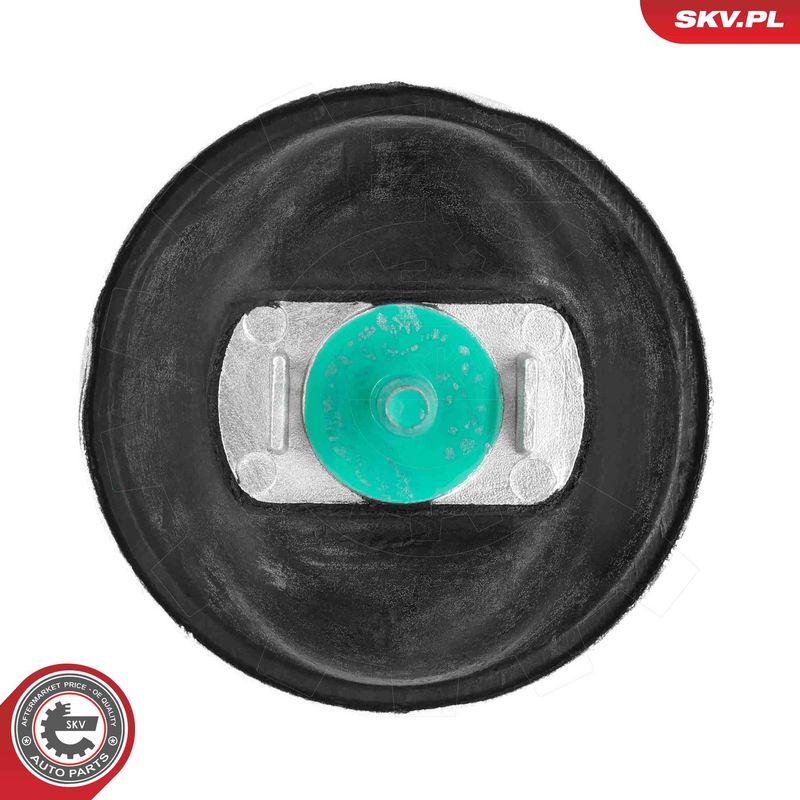 Paigutus, Mootor, ESEN SKV 75SKV044