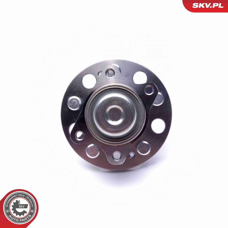 ESEN SKV 29SKV488 Wheel Bearing Kit