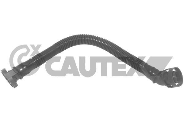 CAUTEX 757478 - Hose, crankcase ventilation
