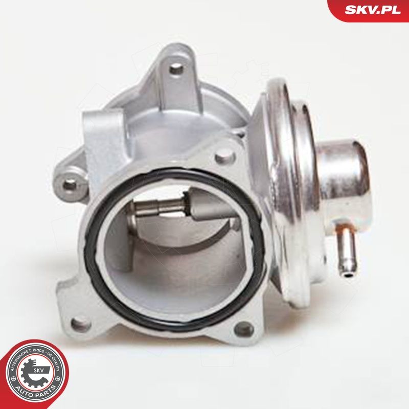 EGR-klapp, ESEN SKV 14SKV034