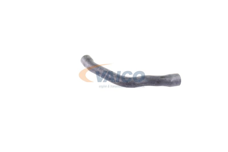 VAICO V30-2099 Radiator Hose