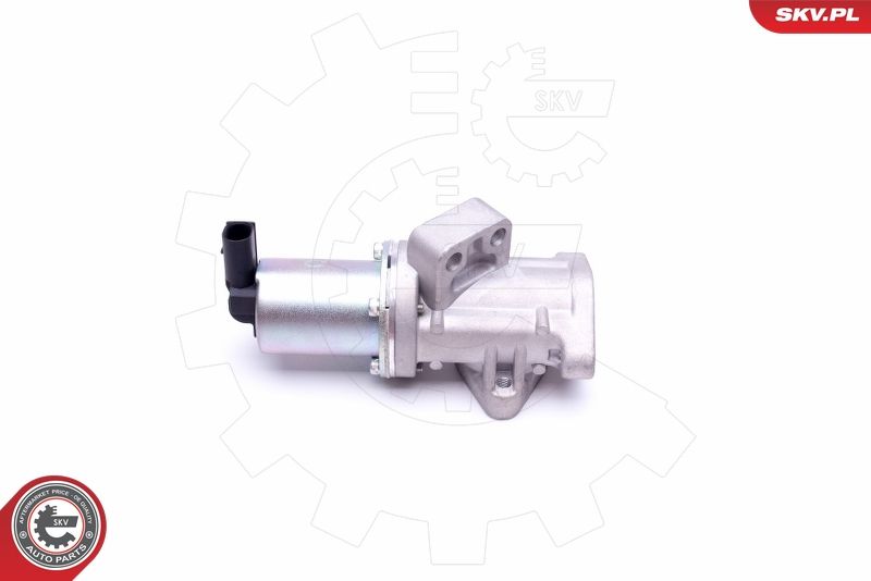 ESEN SKV 14SKV212 EGR Valve