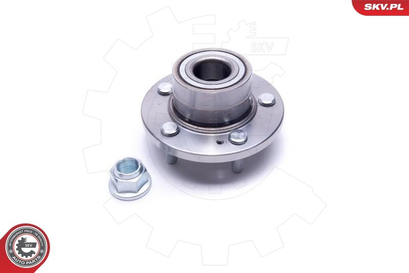 ESEN SKV 29SKV484 Wheel Bearing Kit