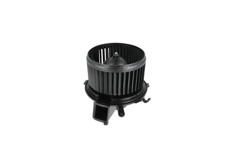 Salongipuhur, NRF 34234