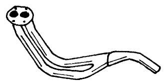 12133_1.JPG