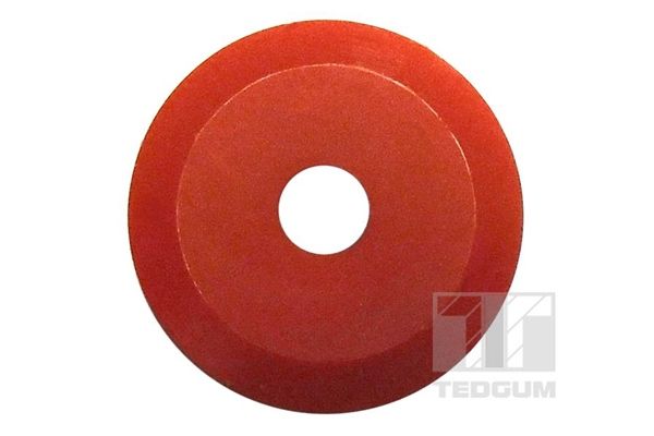 TEDGUM 00237201 Mounting, leaf spring
