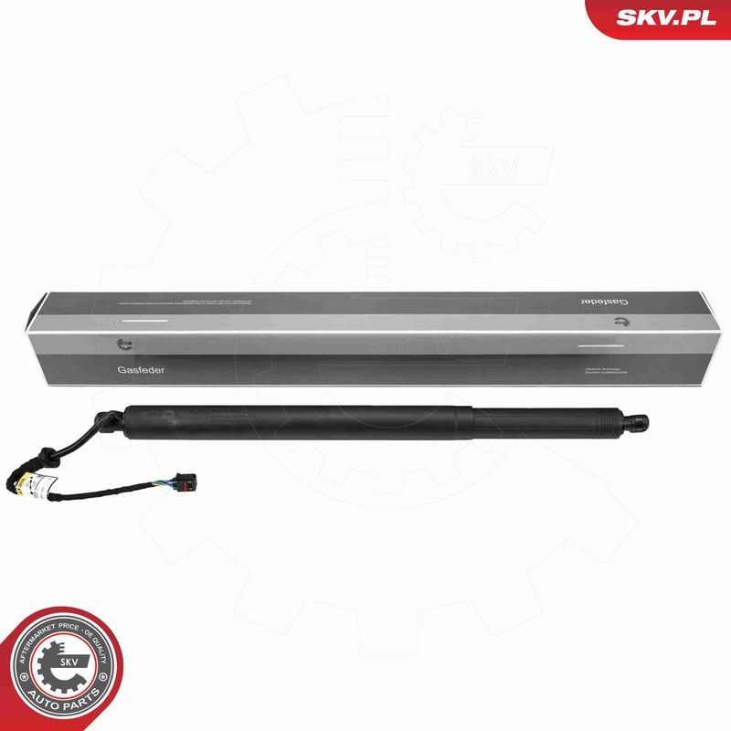 ESEN SKV 52SKV212 - Electric Motor, tailgate