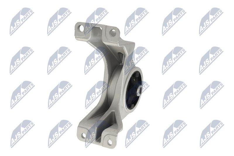 Paigutus, Mootor, NTY ZPS-CH-105